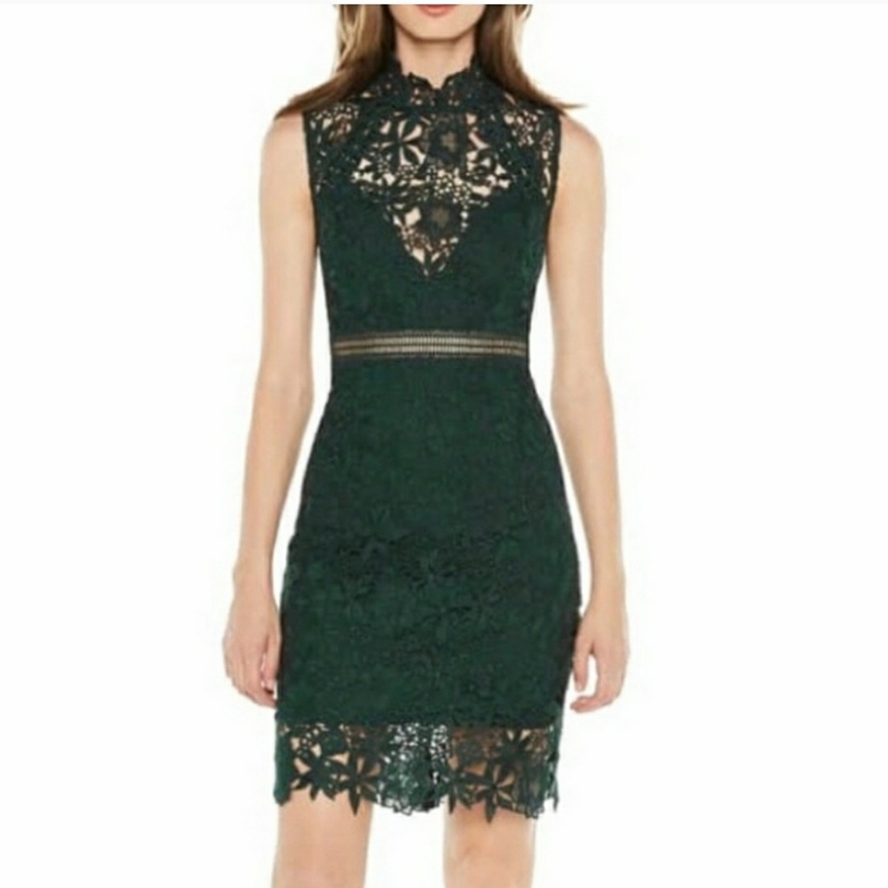 Bardot bodycon dress